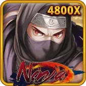 Ninja game icon